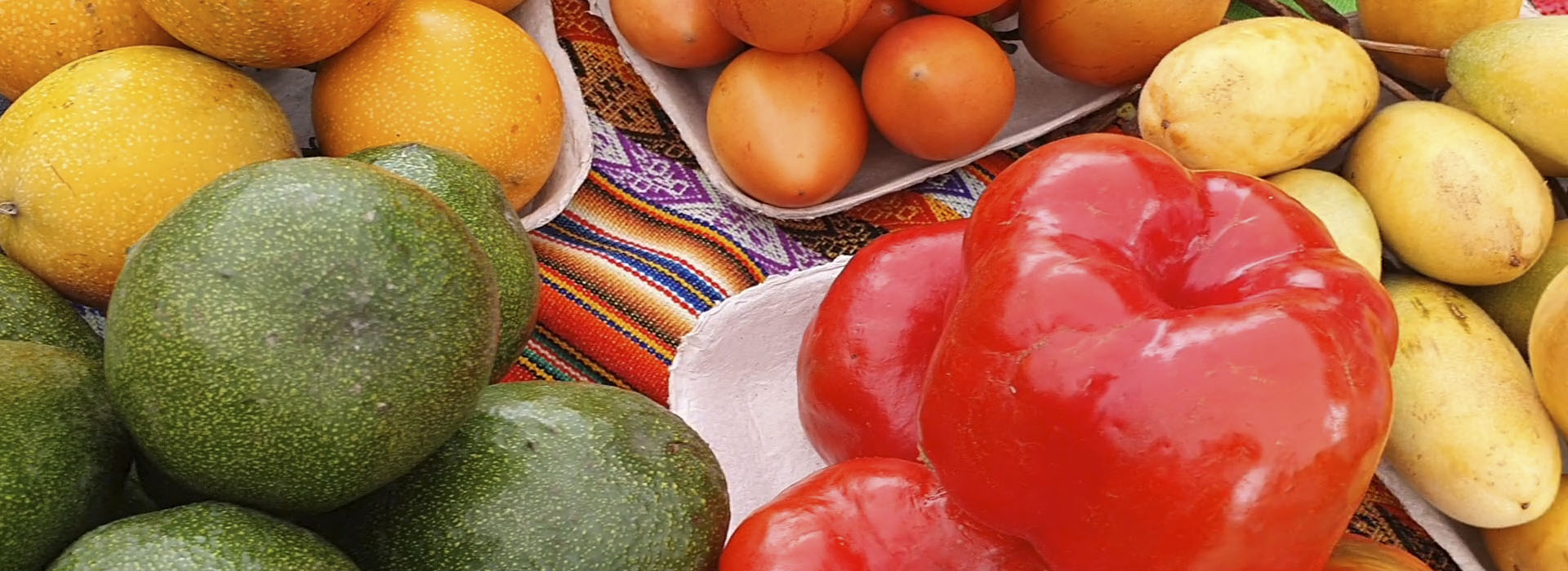 Ferias Agroecológicas